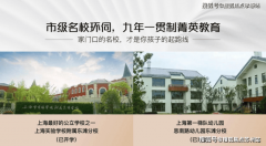 <strong>每一层的具体用处是</strong>